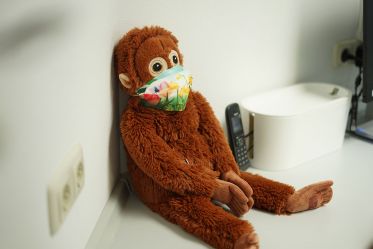 Zahnarzt Rodgau-Jügesheim KAYA&smile - Wartebereich